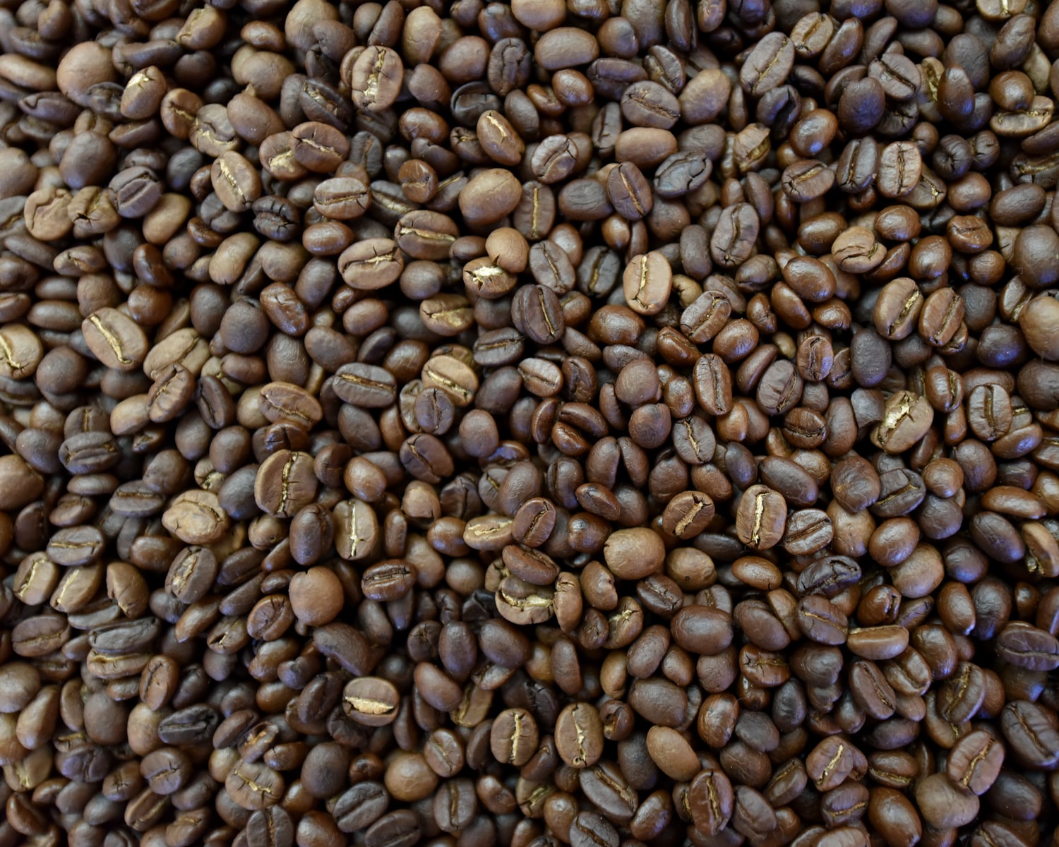 How Long Fresh Roasted Coffee Lasts Best Practices for Storing Coffee